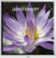 /album/photo-gallery-canvas-uri/decoratiuni-de-perete-canvas-lc-1033-jpg/
